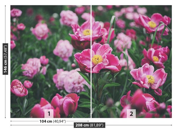 Carta da parati Peonie rosa 104x70 cm