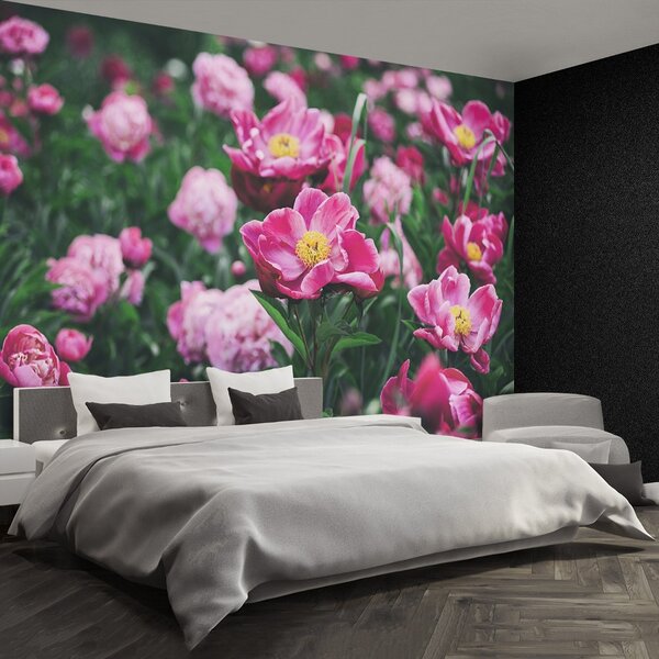 Carta da parati Peonie rosa 104x70 cm
