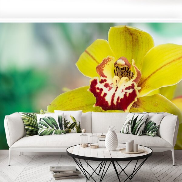 Carta da parati Orchidea gialla 104x70 cm