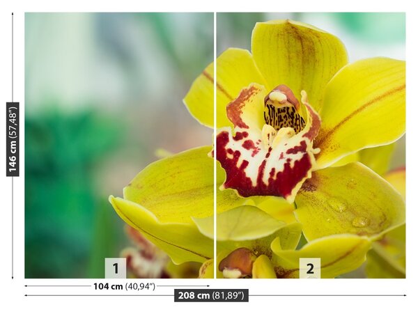 Carta da parati Orchidea gialla 104x70 cm