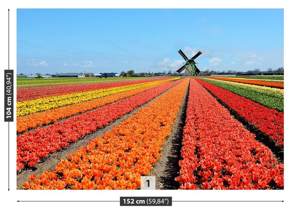 Carta da parati TULIP FINTMILL 104x70 cm