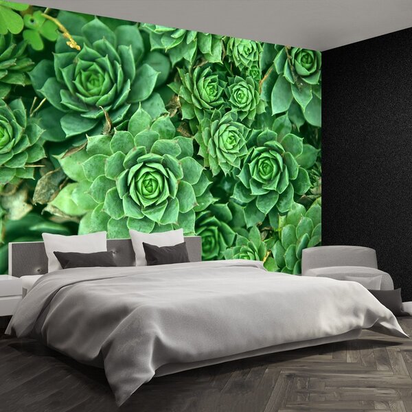 Carta da parati Verde 104x70 cm