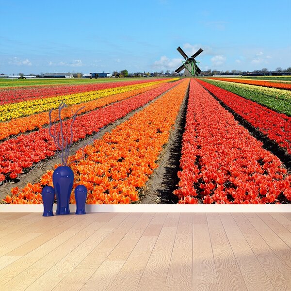 Carta da parati TULIP FINTMILL 104x70 cm