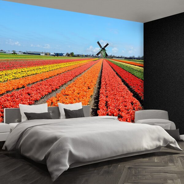 Carta da parati TULIP FINTMILL 104x70 cm