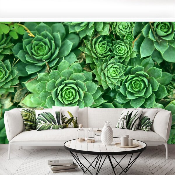 Carta da parati Verde 104x70 cm
