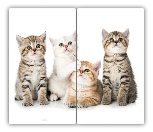 Tagliere in vetro Piccoli gatti 60x52 cm