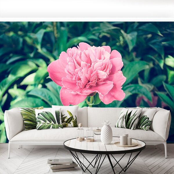Carta da parati Peonie rosa 104x70 cm