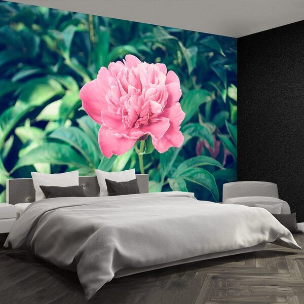 Carta da parati Peonie rosa 104x70 cm