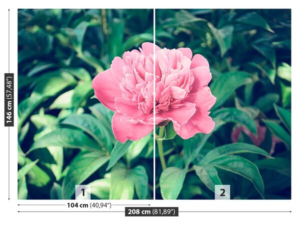 Carta da parati Peonie rosa 104x70 cm
