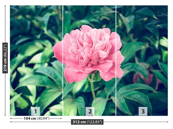 Carta da parati Peonie rosa 104x70 cm