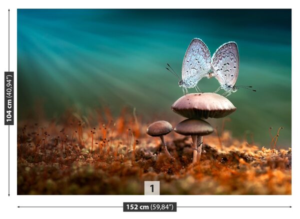 Carta da parati Farfalle funghi 104x70 cm