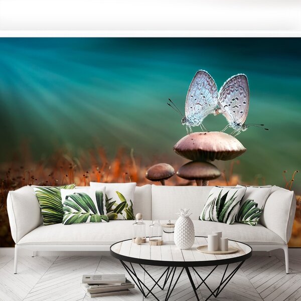 Carta da parati Farfalle funghi 104x70 cm