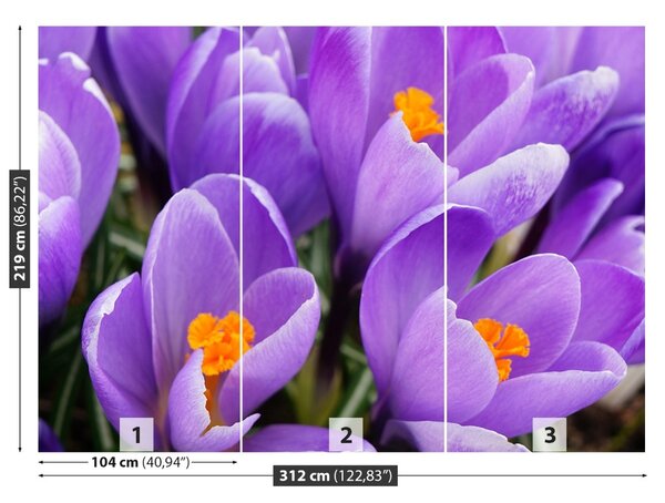 Carta da parati Crocus viola 104x70 cm