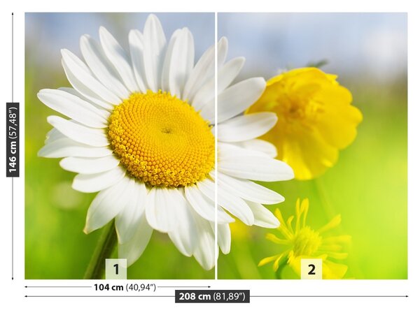 Carta da parati Fiori di camomilla 104x70 cm