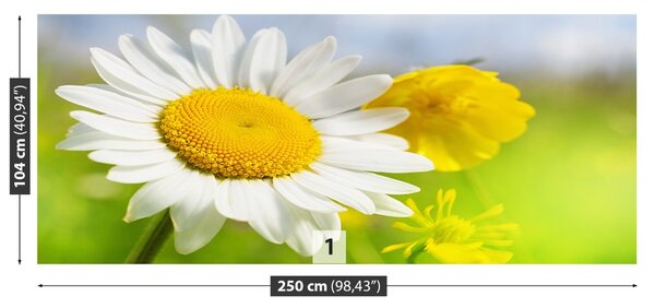 Carta da parati Fiori di camomilla 104x70 cm