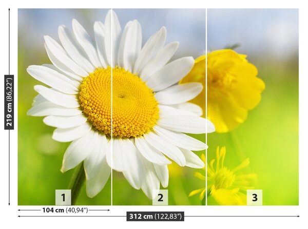 Carta da parati Fiori di camomilla 104x70 cm