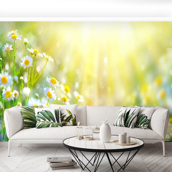 Carta da parati Fiori di camomilla 104x70 cm