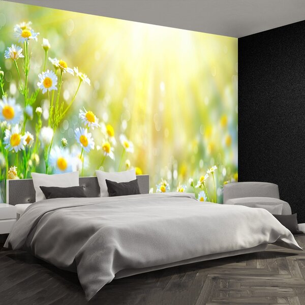 Carta da parati Fiori di camomilla 104x70 cm