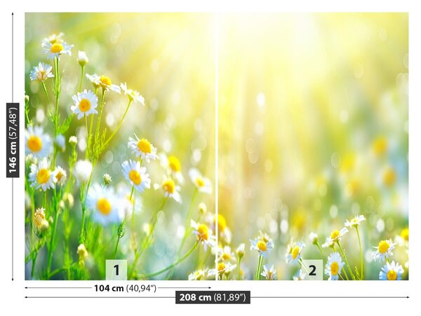 Carta da parati Fiori di camomilla 104x70 cm