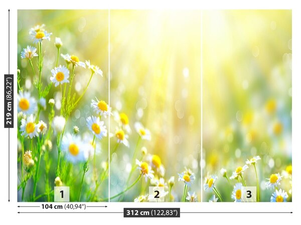 Carta da parati Fiori di camomilla 104x70 cm