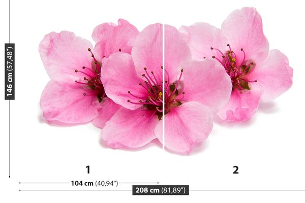 Carta da parati Fiori di ciliegio 104x70 cm