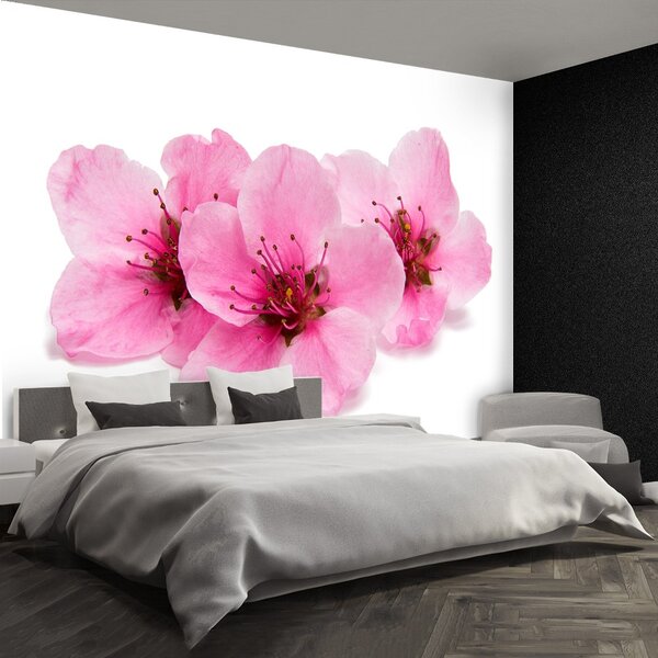 Carta da parati Fiori di ciliegio 104x70 cm