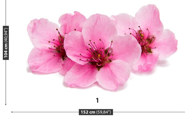 Carta da parati Fiori di ciliegio 104x70 cm