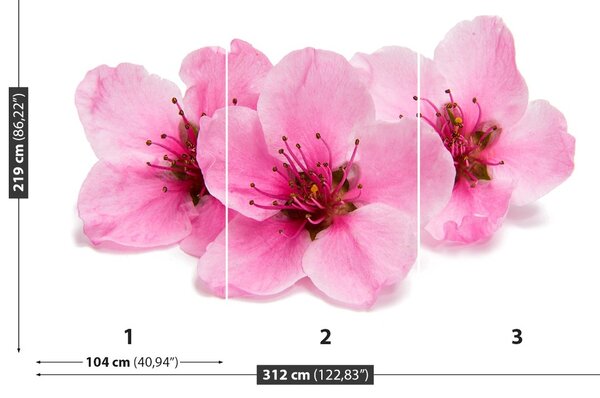 Carta da parati Fiori di ciliegio 104x70 cm