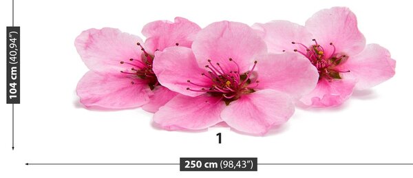 Carta da parati Fiori di ciliegio 104x70 cm