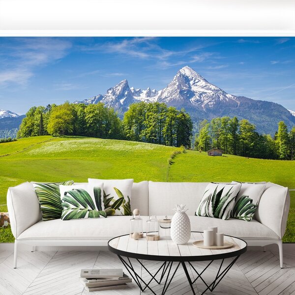 Carta da parati Alpi mucche 104x70 cm