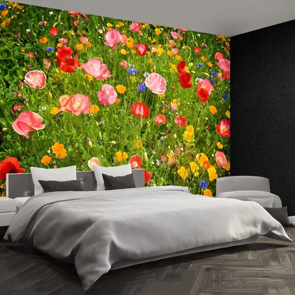 Carta da parati Prato di fiori 104x70 cm
