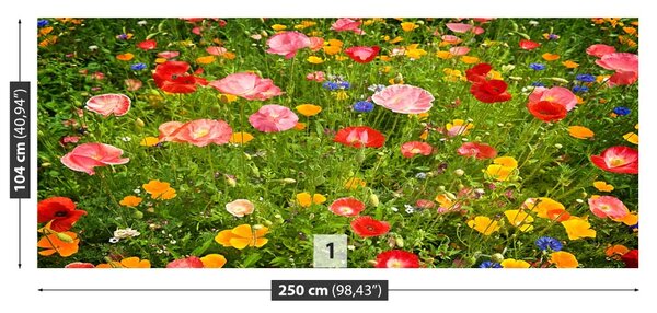Carta da parati Prato di fiori 104x70 cm
