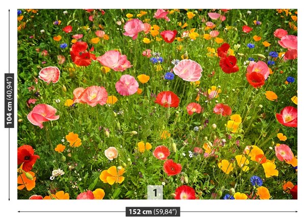 Carta da parati Prato di fiori 104x70 cm