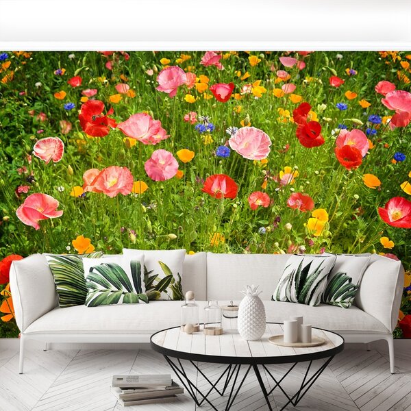 Carta da parati Prato di fiori 104x70 cm