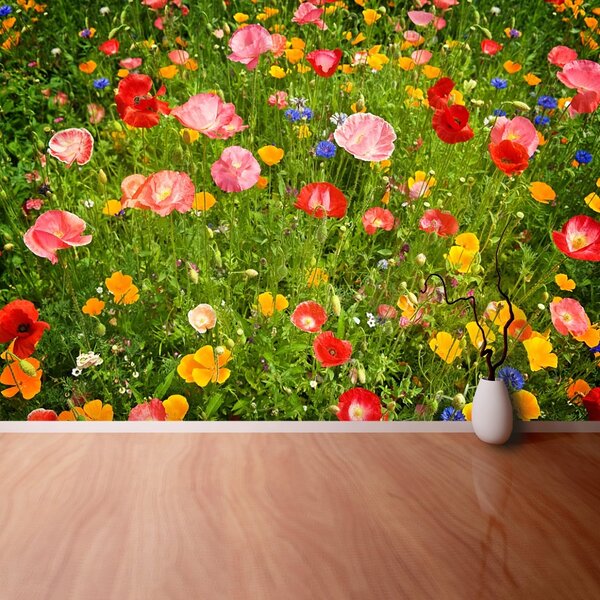 Carta da parati Prato di fiori 104x70 cm