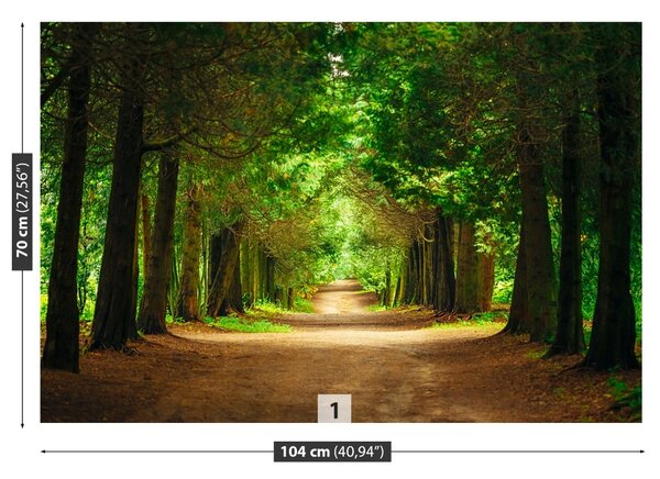 Carta da parati Pia di albero 104x70 cm
