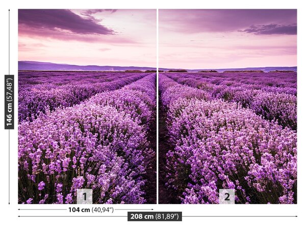 Carta da parati Una lavanda in fiore 104x70 cm