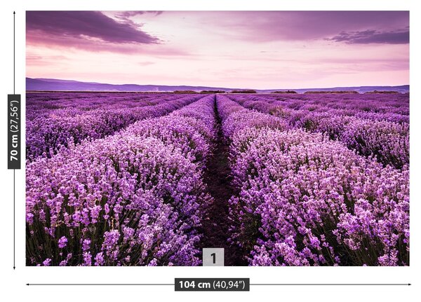 Carta da parati Una lavanda in fiore 104x70 cm