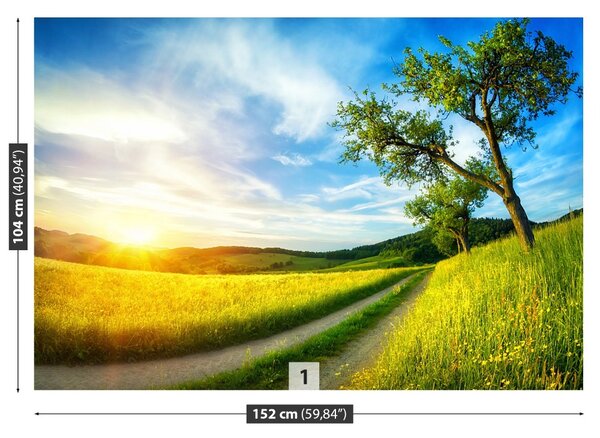 Carta da parati Meadow dell'albero 104x70 cm