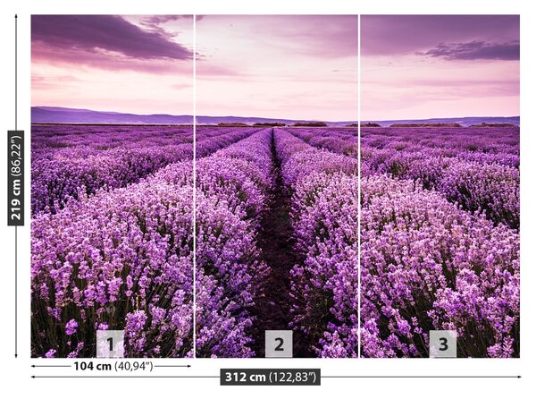 Carta da parati Una lavanda in fiore 104x70 cm