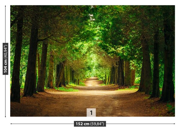 Carta da parati Pia di albero 104x70 cm