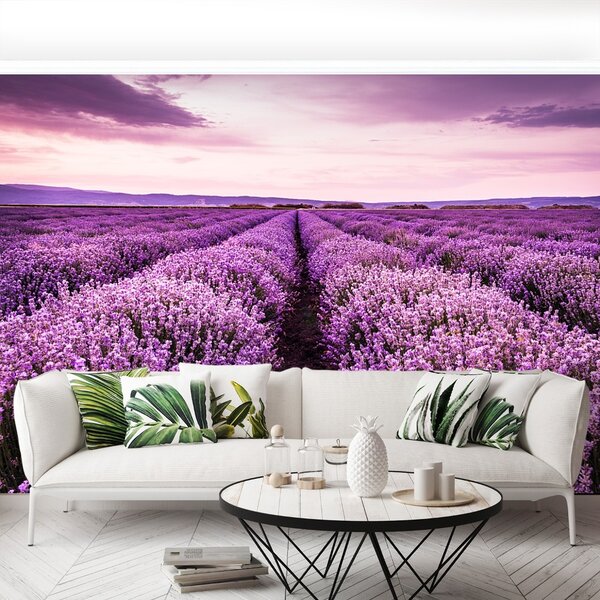 Carta da parati Una lavanda in fiore 104x70 cm