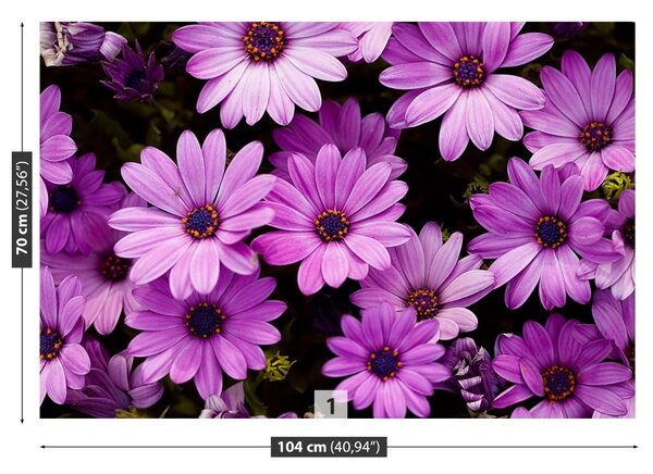Carta da parati Fiori viola 104x70 cm