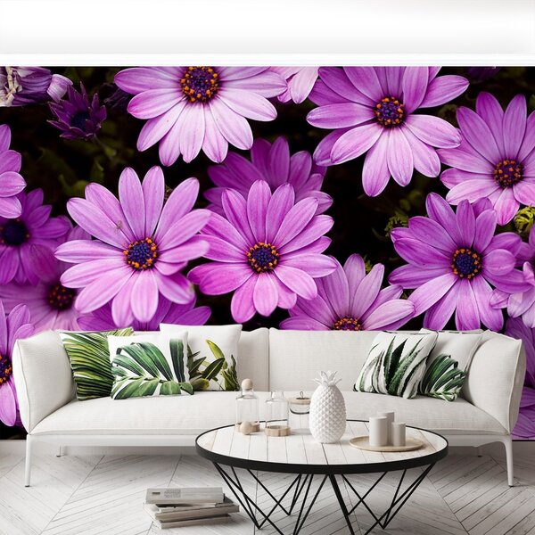 Carta da parati Fiori viola 104x70 cm