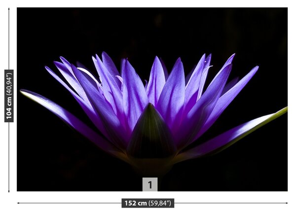 Carta da parati Loto viola 104x70 cm