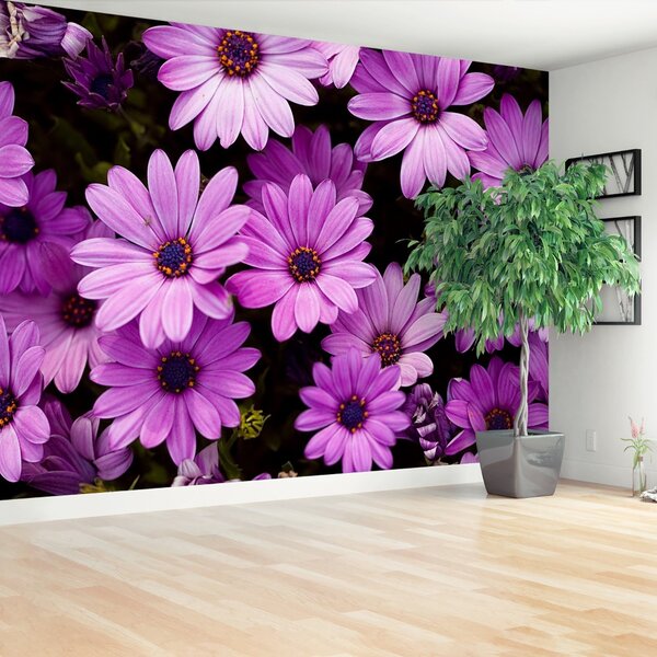 Carta da parati Fiori viola 104x70 cm