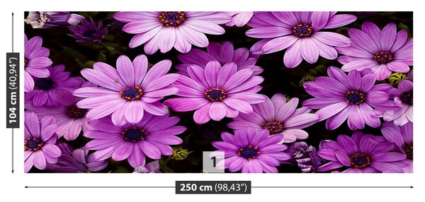 Carta da parati Fiori viola 104x70 cm