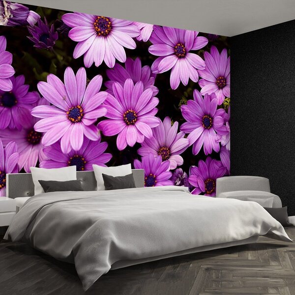 Carta da parati Fiori viola 104x70 cm