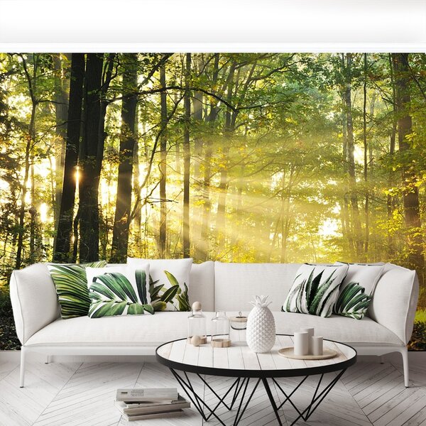 Carta da parati Foresta in autunno 104x70 cm