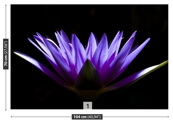 Carta da parati Loto viola 104x70 cm